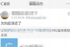 标题：石狮专业讨债公司——破解债务难题的得力助手