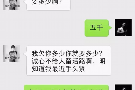 沙河收债公司排名：揭秘行业翘楚，助力企业信用建设